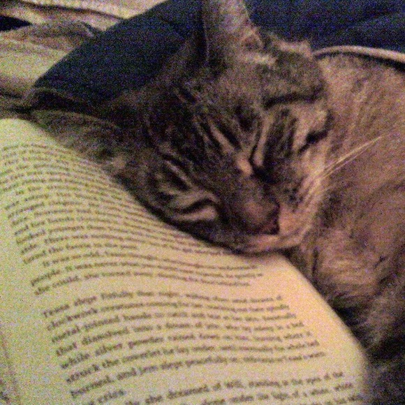 Meet your Posher, Alice - Picture 1 of 1